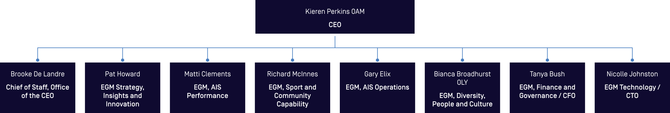 Organisational Chart - Top level